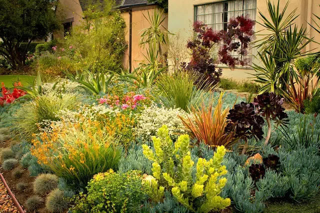Eco-friendly landscaping featuring drought-tolerant native plants