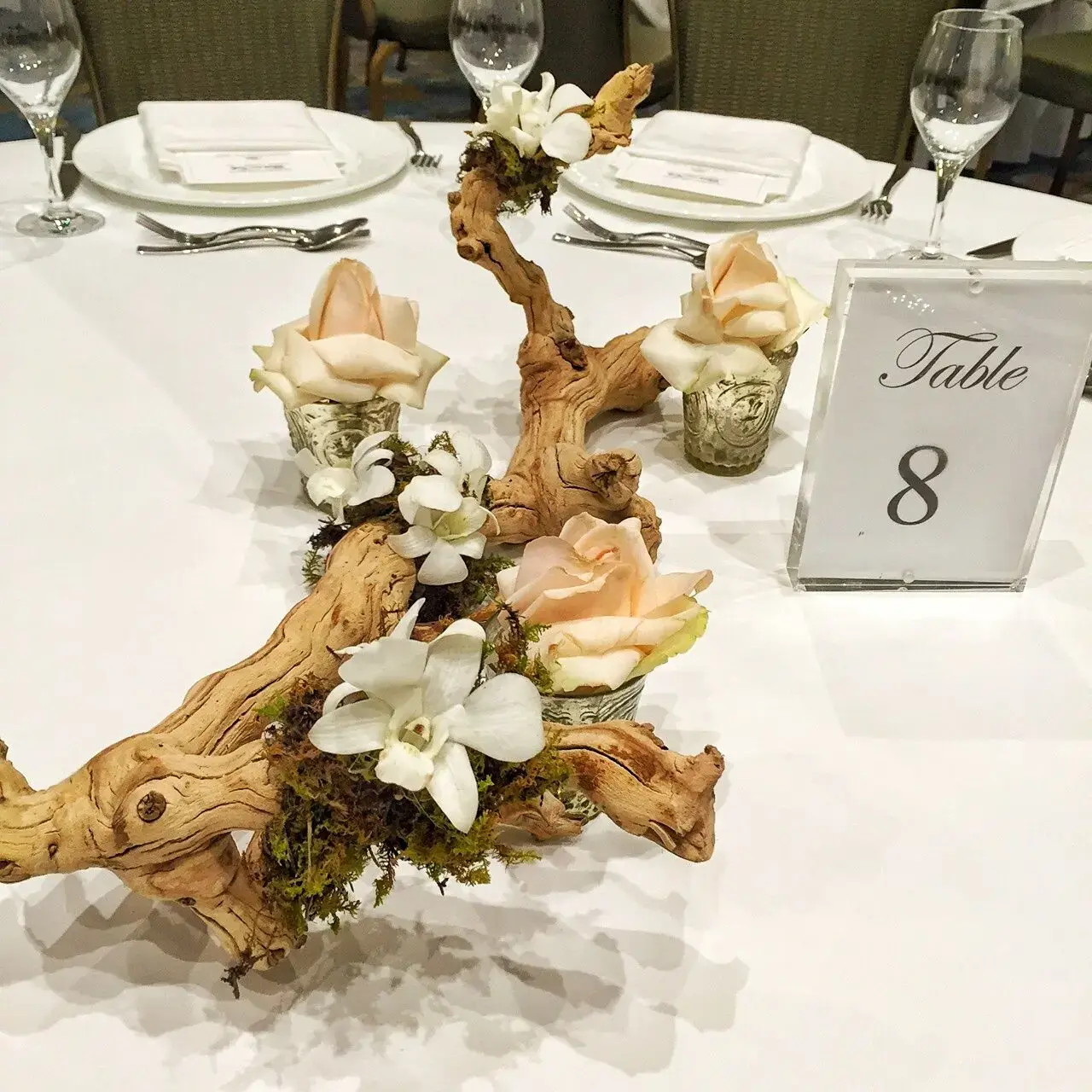 Driftwood decor arranged on a table