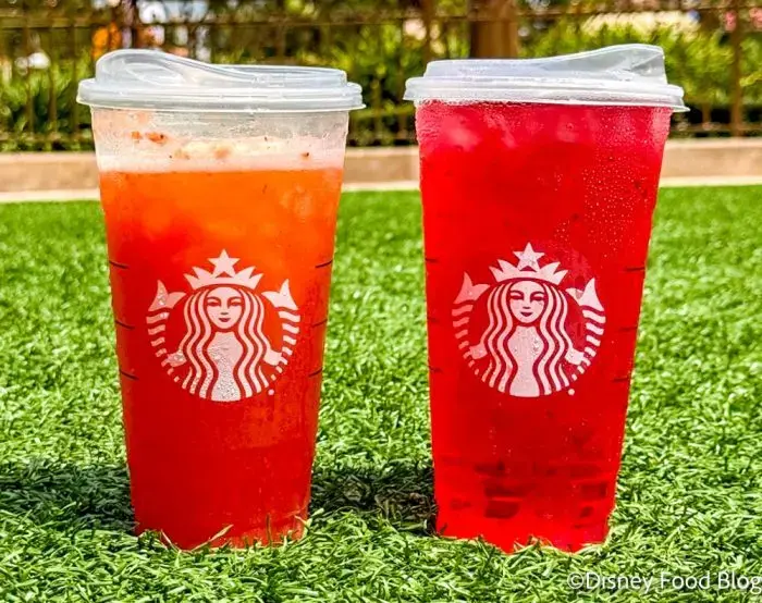 Starbucks Melon Burst Iced Energy